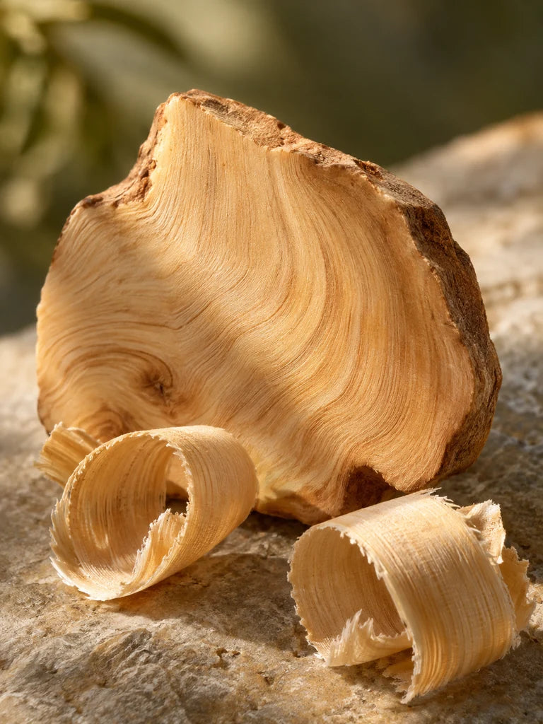 Pale sandalwood pieces and fine grain in soft golden light